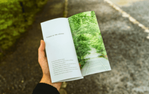 half-fold-brochure-printing