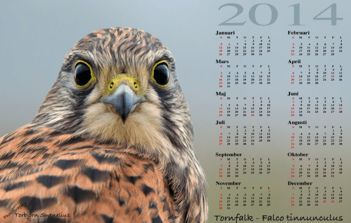 cheap-custom-calendar-printing